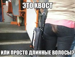 Угадайте: шея или талия? Новая оптическая иллюзия поставила в тупик пользователей интернета