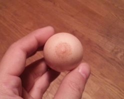 что тут особенного? ну скаталась скорлупа так внутри курицы и что? не пост а подборка куйни какой то...