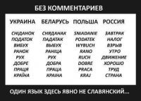 Большая часть слов в обиходе не употребляется, но в литературе вполне себе живет.
1. снедь (еда), снедать (кушать) 
2. пОдать - вообще прямой синоним
3. встречается - "гулко бУхает" (громко и глухо ударяет)
4. слово поменяло значение на начало события (раннее утро)
5. видимо окончательно устарело в русском
6. слово "добро" имеет тот же смысл, но немного уже в другом уже ключе
7. устарело
8. край - имеет тот же контекст, но теперь это масштаб между страной и стороной.
---
и того из 8 примеров 6 с манипуляциями. По-больше бы таких доказательств не славянского происхождения русского языка.