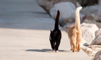 "Ей в дурдом пора!": Яну Рудковскую обвинили в зацикленности на свобственной персоне