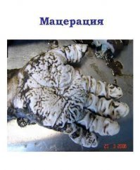 Рыбалка: