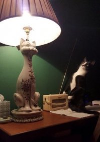 Хочешь жить – уезжай