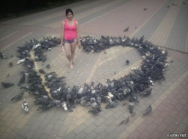 "Любовь и голуби", лучшая афиша :)