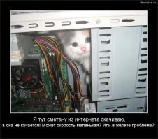 Тест на эрудицию: Правда или ложь