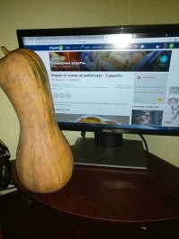 Как раз пост под руку(под тыкву) попался