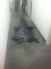 Фотоподборка за 16.10.2018