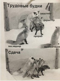 Это сдача объекта