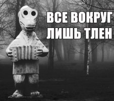 Ужас недели: девочка накормила одноклассников бабушкиным прахом 