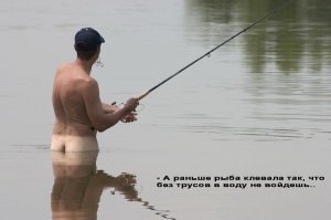 Пьяный канадец голышом поплавал в аквариуме с акулами