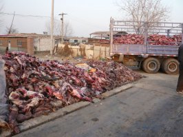 Животные где то там умирают? Да кому какое дело, если под боком их вон сколько валяется.