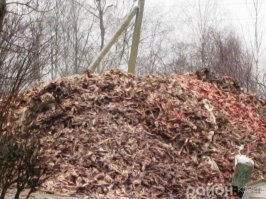 Животные где то там умирают? Да кому какое дело, если под боком их вон сколько валяется.