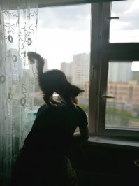 Хех))) У меня младшая не жидкость, а файербол прямо...
Вот, например, мой пацан нагнулся посмотреть в окно, через мгновение: