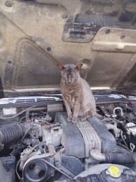 Это точно - где хотят...