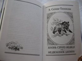 В детстве , любил читать про них :