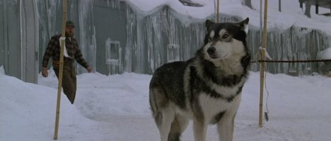 И вдруг прибежит волшебная собака перед вертолетом и покажет всем кино про нечто ))