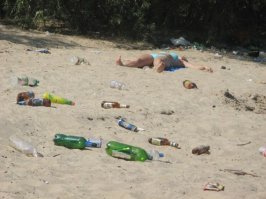 "Пляж, на котором поселились свиньи" -- таких пляжей много по всему миру, к сожалению.