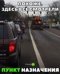 Похоже,"Пункт назначения" тут никто не смотрел.Бревна в фильме скатились на бок.