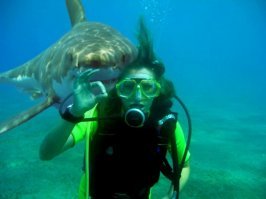 Улыбаемся и машем: гигантская рыба-солнце позирует для селфи