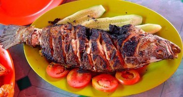 Улыбаемся и машем: гигантская рыба-солнце позирует для селфи