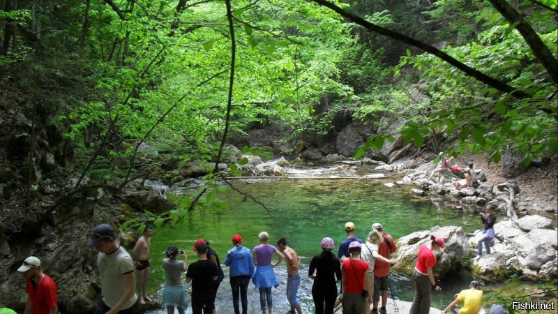Была три раза в Крыму: 2009, 2010, 2012. Май-июнь, походы с украинскими группами. Платишь копеечку, ну тысячи 2-3. Тебя ведут, кормят. Сутки на поезде из Москвы, плацкарта около 2 тыс.  Тишина, красота. Бедненько, но чистенько. На вокзале и на в гостинице при автовокзале в Ялте койкоместо по 50 грн=200 рублей. Черешня у вокзала около 30 рублей. Больше не хочу туда, пусть Крым в моей памяти останется таким.