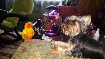 Мои друзья.