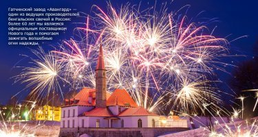 Взрыв на пиротехническом заводе в Гатчине. Подробности