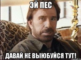 Герои Советского Союза. Евгений Николаевич Жердий