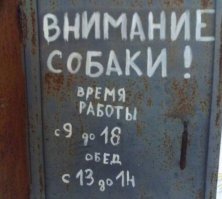 Надеюсь собаки не посетителями обедают....