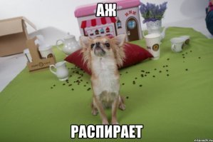 Строительные магазины — место, которое посещали все хоть раз