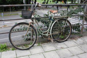 Швеция, Стокгольм.