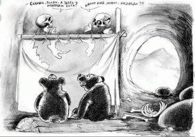 Почему нельзя кормить диких медведей. Это не только опасно, но и очень дорого