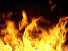 и как оно перенесет огонь?