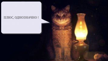 Эрмитажные коты