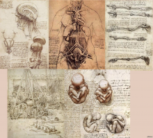 Ни разу не являюсь проФФесором по психиатрии или вообще медицины.
Но если взять само   значение слова Шизофрени я (от др.-греч. σχίζω «расщеплять», «раскалывать» + φρήν   «ум, мышление, мысль») т.е. Расщеплённый Ум.
То выходит в шизофрениках ходят ВСЕ образованные люди.

Ведь начиная со школы нам систематически вдалбливают что Мир РАЗДЕЛЁН на такие предметы как химия, физика, математика , литература  и т.д.
Кто-то  увлекается конкретным предметом   и выбирает себе специализацию повышая свои навыки т.е. углубляет расщепление мозга.
Ведь многие сталкивались с тем что приходя первый раз на урок или пару преподаватель зачастую двигал тему "Мой предмет самый важный предмет, без него не выйдет образованного человека!" т.е. шизофреника.

И мало у кого получается потом соединить эти знания в единое целое например как Леонардо Да Винчи( или Ломоносов), который как известно был спецом во всех областях благодаря именно тому что он каждую область знаний досконально изучил , а потом соединив их все запустил как единый организм.