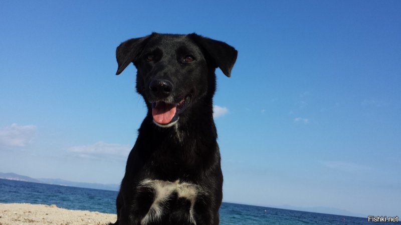 Никаких конкурсов, просто обычная фотография которую сделал неделю назад на пляже в Греции