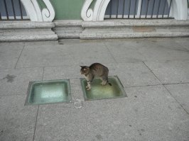 Мои фотографии во время посещения Эрмитажа