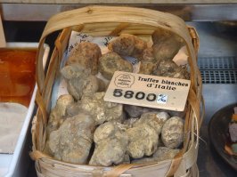 Самые красивые грибы: Фото, факты, описание