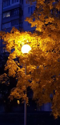 Краски осени