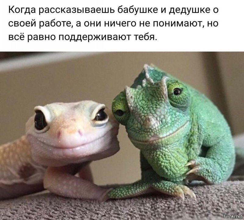 Солянка от 22.10.2018