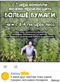 20 бесполезных фактов, так, для общего развития