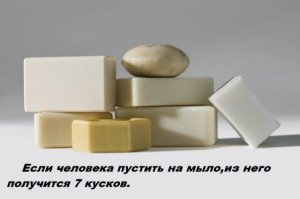 20 бесполезных фактов, так, для общего развития