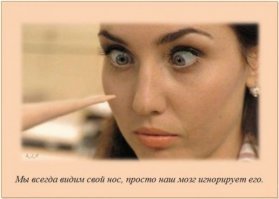 20 бесполезных фактов, так, для общего развития