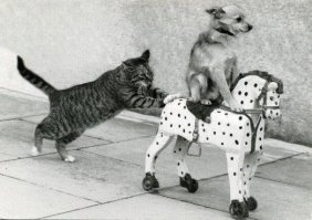 Верующие местечка Ялова 37 лет молились не в ту сторону