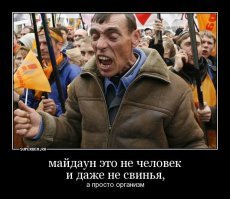 Не надо путать честных хохлов с майдаунами - это два разных биологических вида.