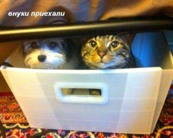 Они познают мир!