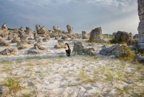 Наш Черныш :) Уже не уличный, просто вывозили на фотосессию