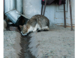 Вот и обмелел