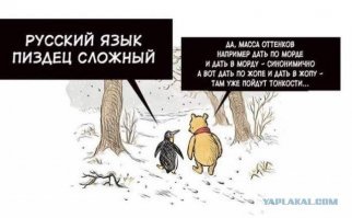 Прикольные картинки