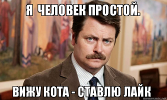 Кошачий фотопозитив