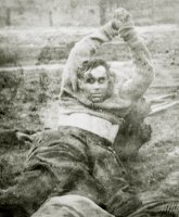 Последний убитый лесной брат